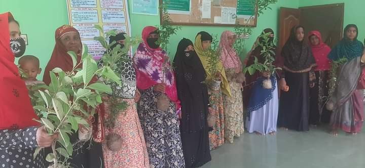 জাতীয় শোক দিবস উপলক্ষে গ্রামীণ ব্যাংক সাপাহার এরিয়ায় বৃক্ষরোপণ কর্মসূচি